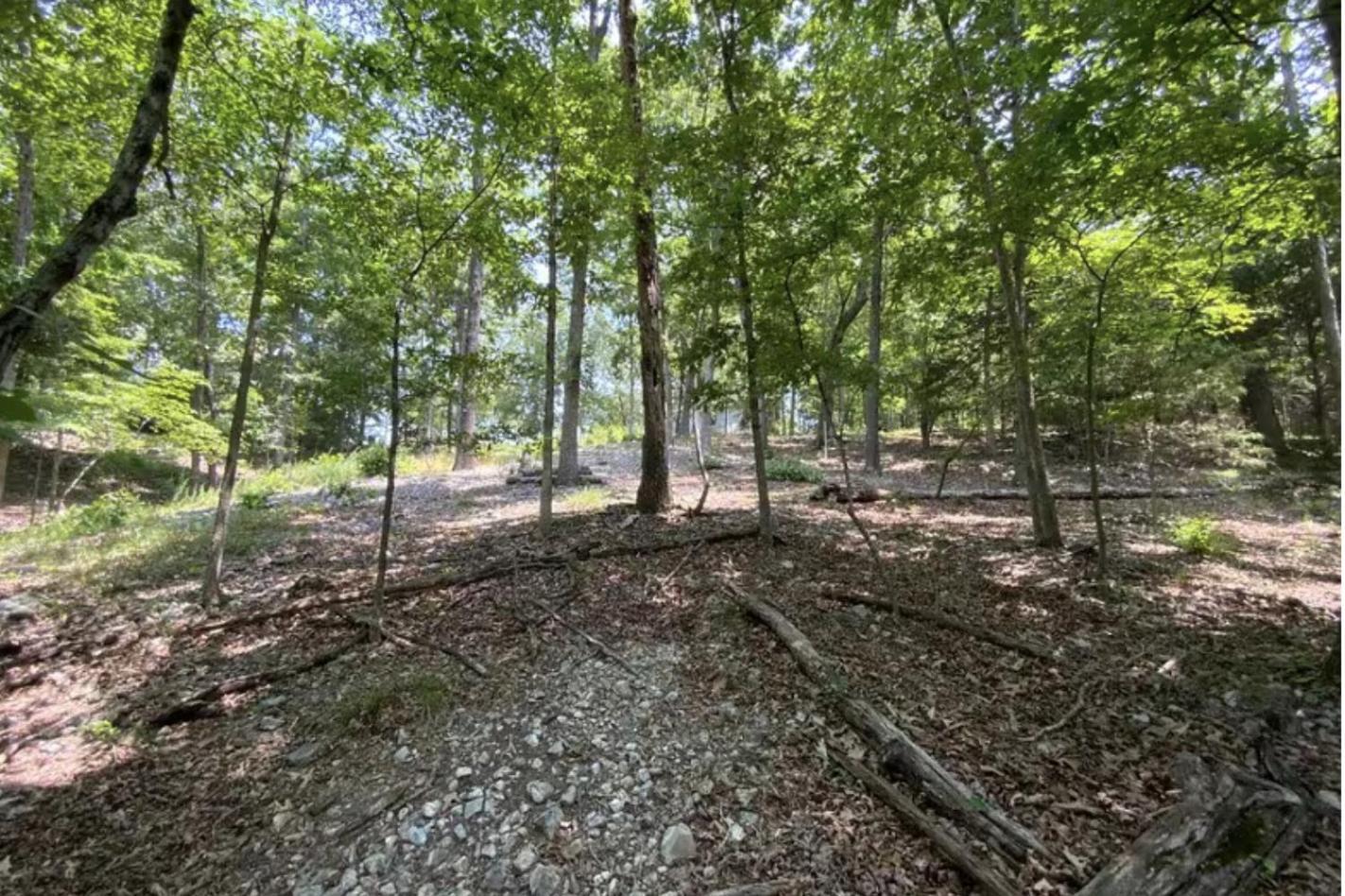 Driftwood Resort Bull Shoals Extérieur photo