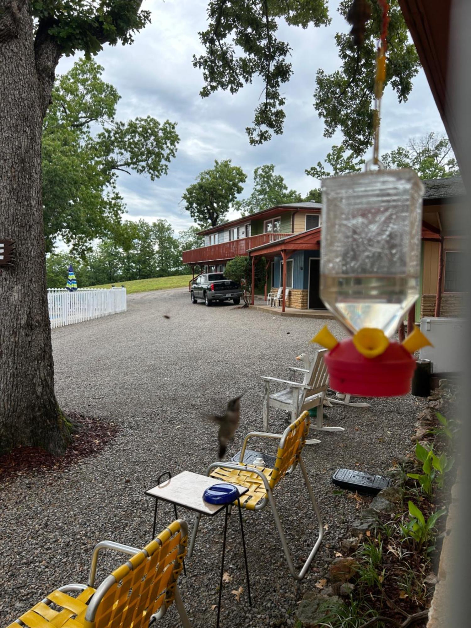 Driftwood Resort Bull Shoals Extérieur photo